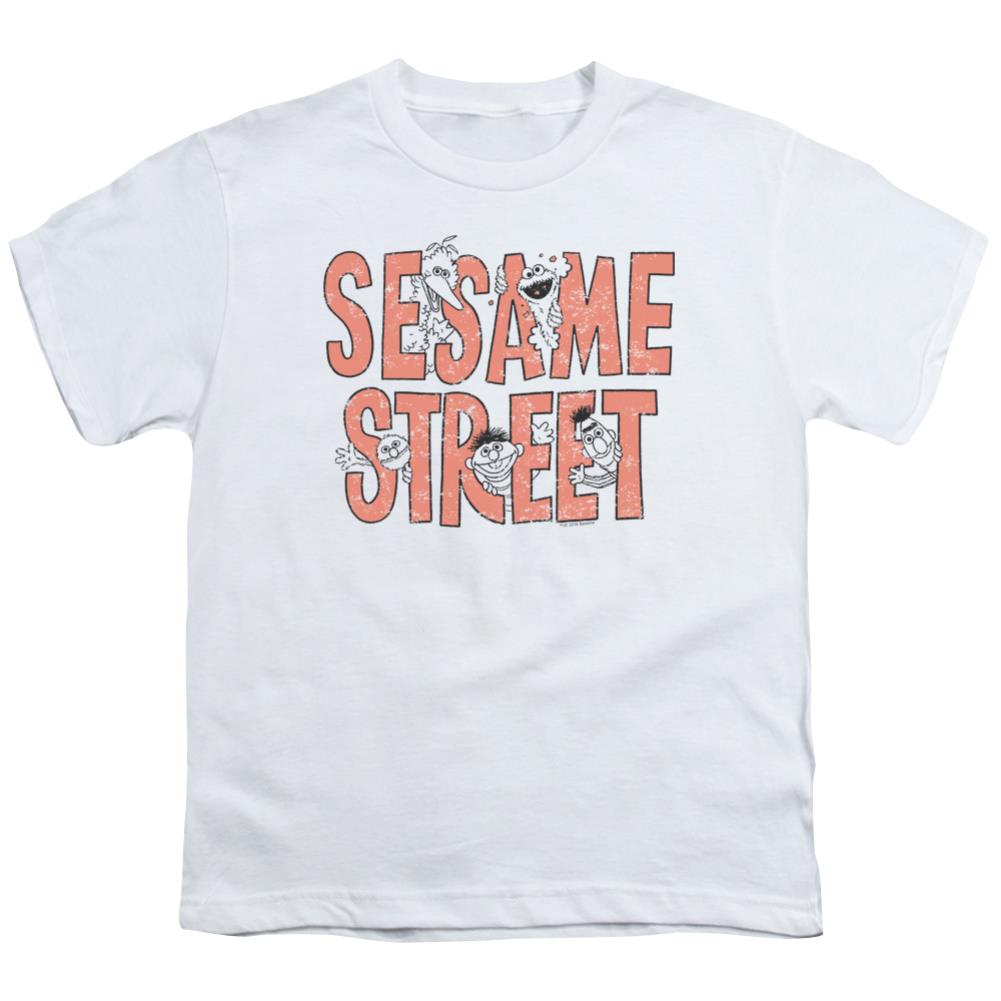 Sesame Street In Letters Youth 18/1 100% Cotton Short-Sleeve T-Shirt
