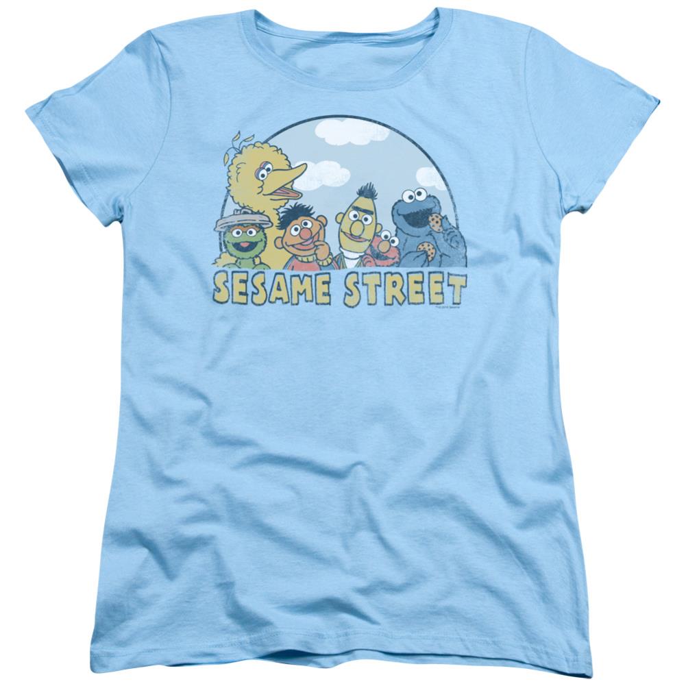 Sesame Street Sesame Group Women's 18/1 Cotton Short-Sleeve T-Shirt
