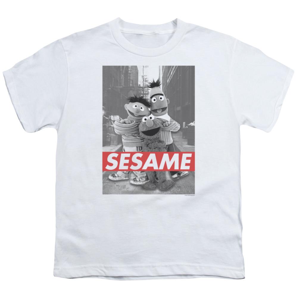 Sesame Street Sesame Youth 18/1 100% Cotton Short-Sleeve T-Shirt