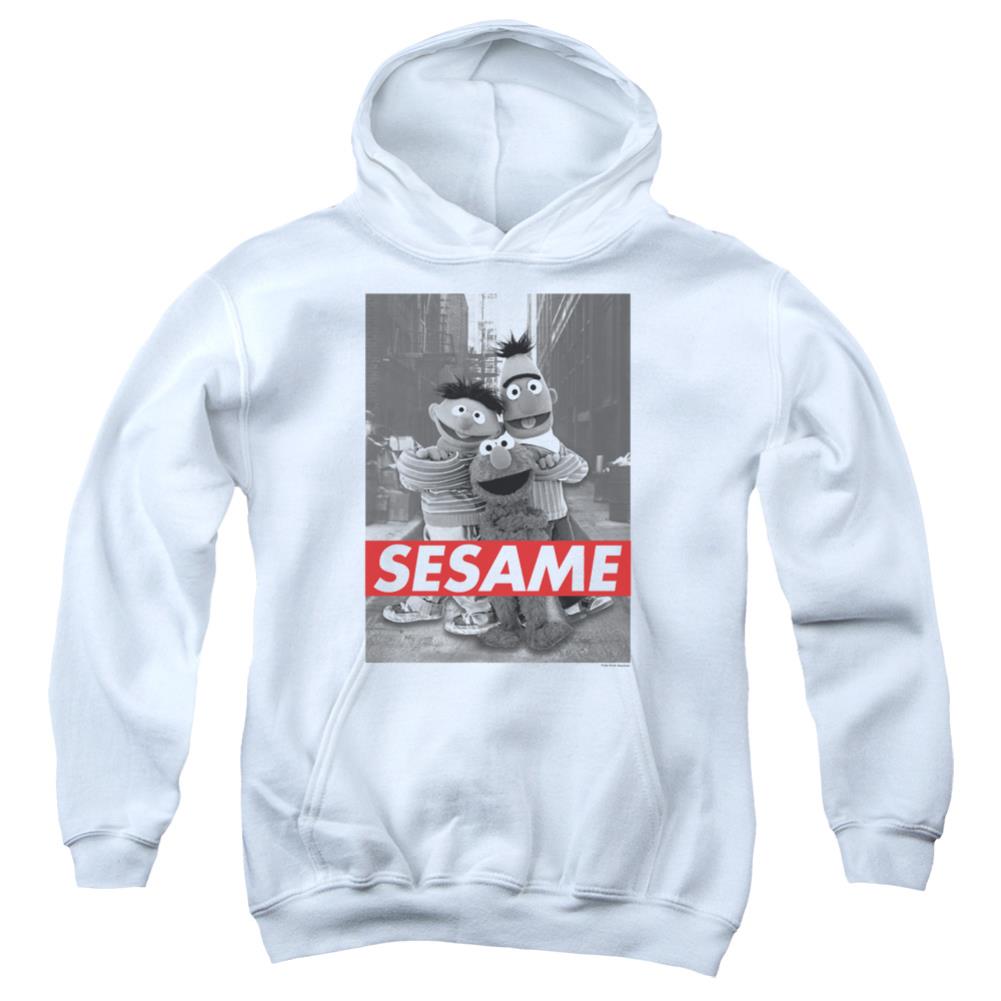 Sesame Street Sesame Youth Cotton Poly Pull-Over Hoodie