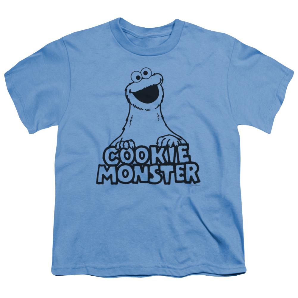 Sesame Street Vintage Cookie Monster Youth 18/1 100% Cotton Short-Sleeve T-Shirt