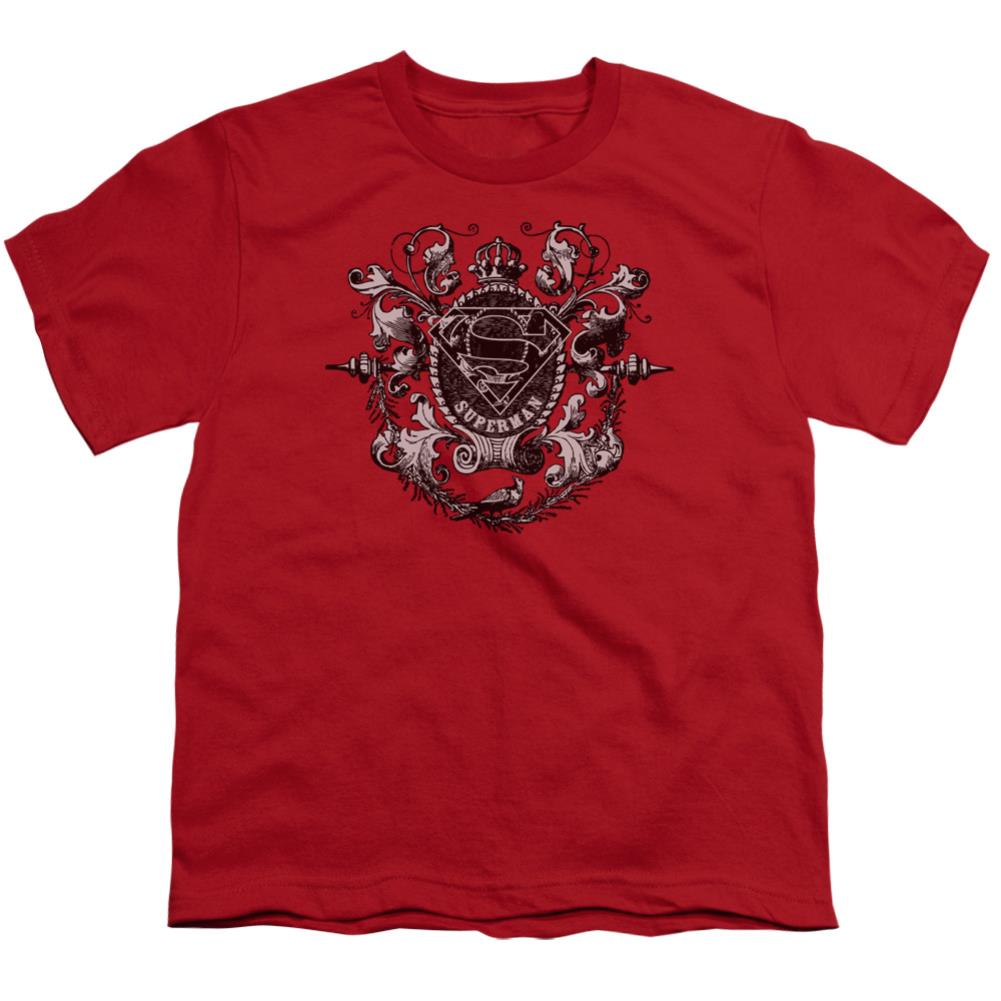 Superman All Hail Superman Youth 18/1 100% Cotton SS T