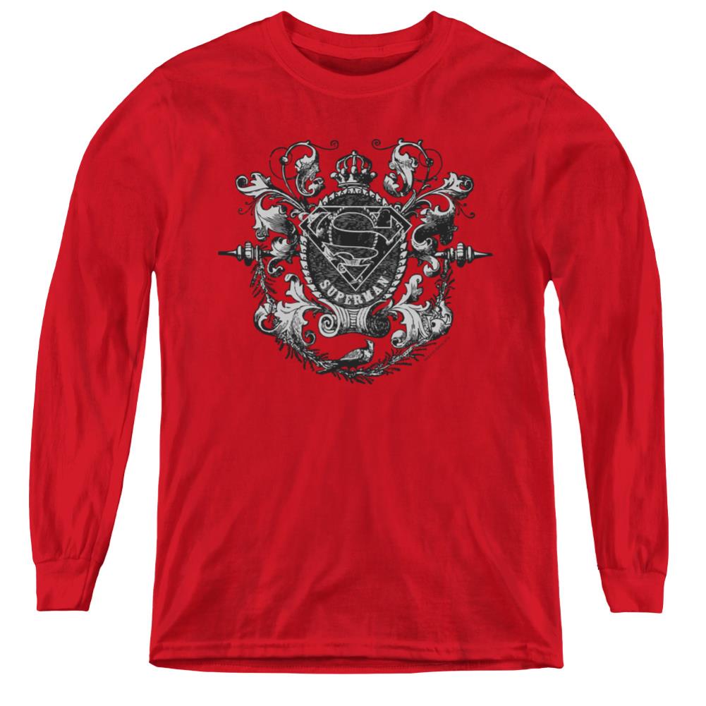 Superman All Hail Superman Youth LS T