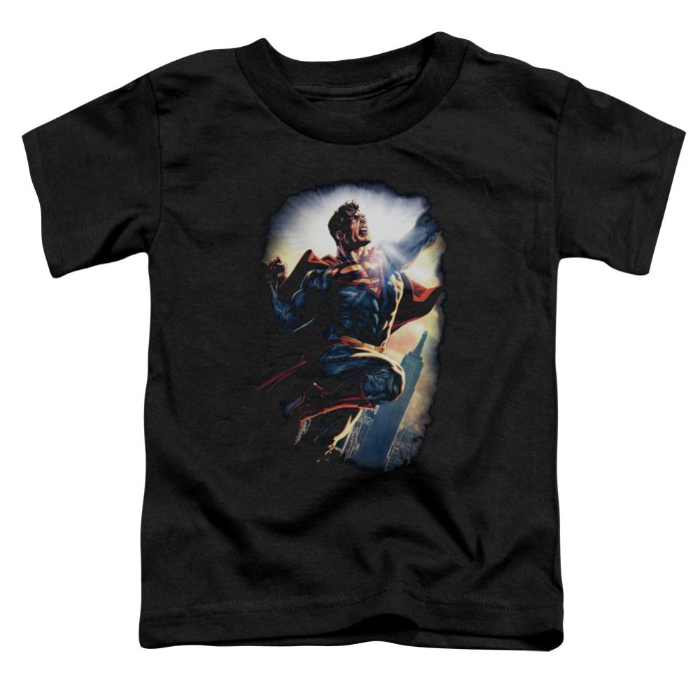 Superman Ck Superstar Toddler 18/1 Cotton SS T