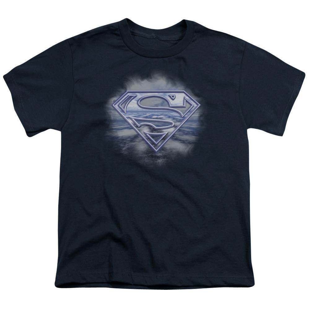 Superman Freedom Of Flight Youth 18/1 100% Cotton SS T