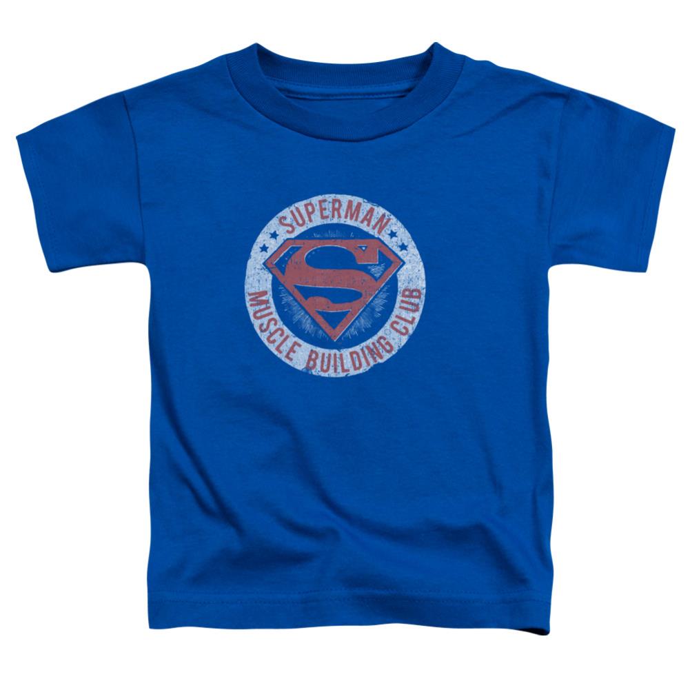 Superman Muscle Club Toddler 18/1 Cotton SS T