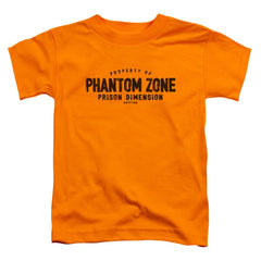 Superman Phantom Zone Toddler 18/1 Cotton SS T