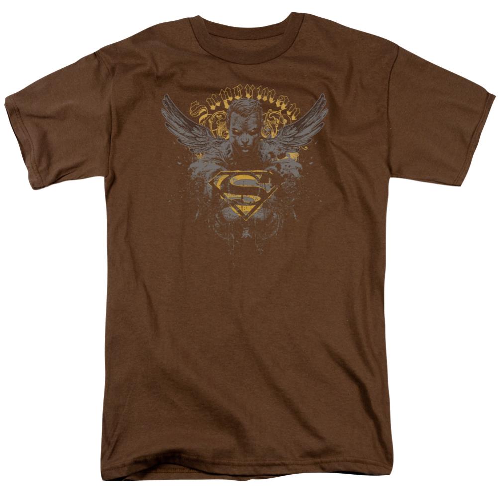 Superman Stand Your Ground Men's 18/1 Cotton SS T