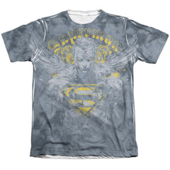 Superman Stand Your Ground Men's Regular Fit Poly Cotton SS T