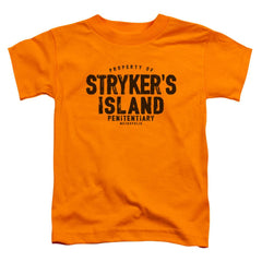 Superman Strykers Island Toddler 18/1 Cotton SS T