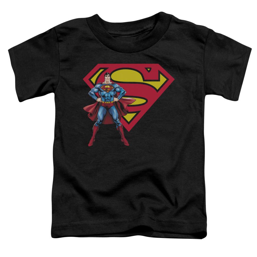 Superman Superman & Logo Toddler 18/1 Cotton SS T