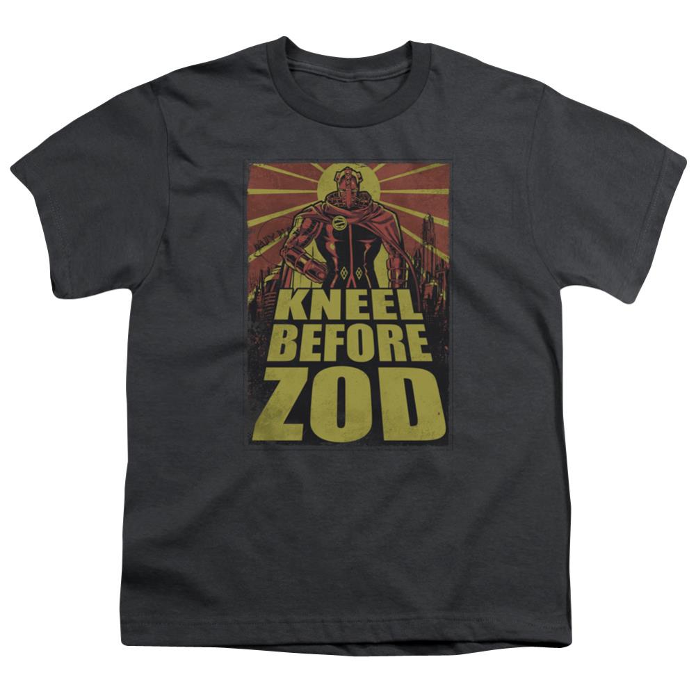 Superman Zod Poster Youth 18/1 100% Cotton SS T