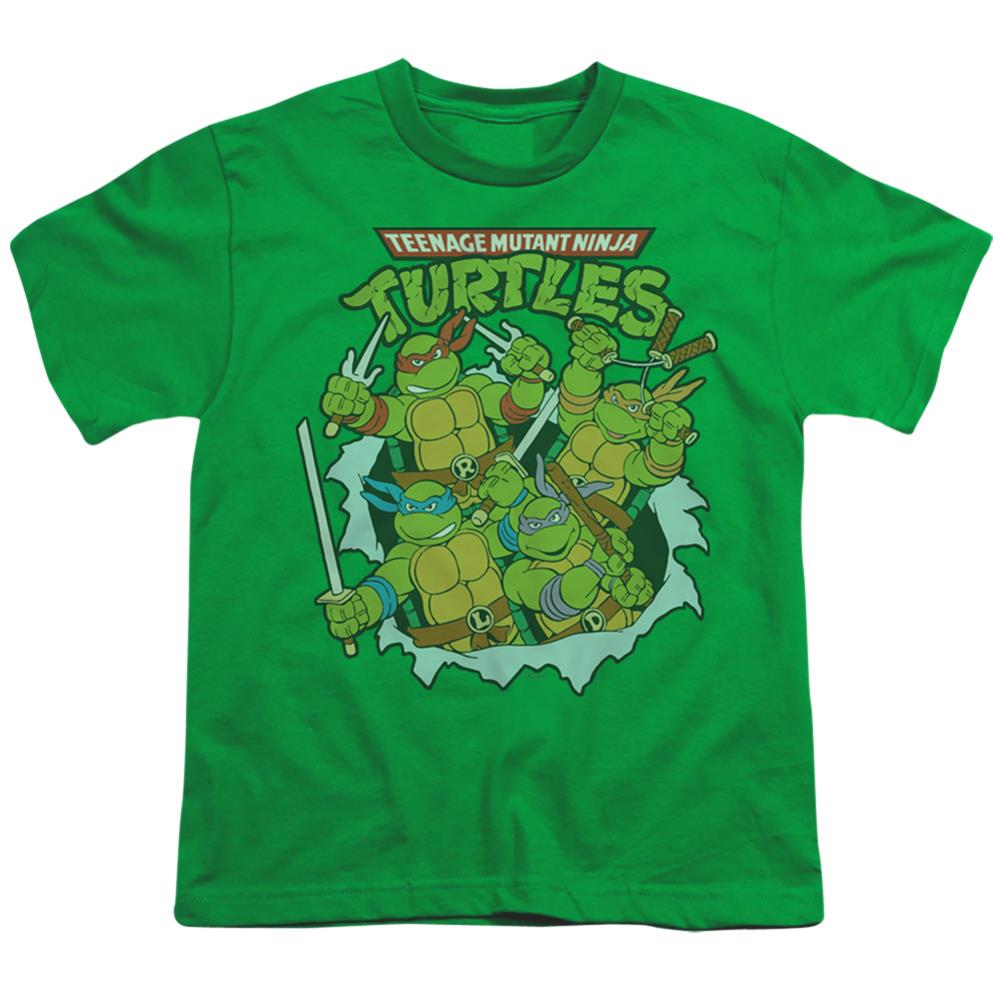 Teenage Mutant Ninja Turtles Retro Group Youth 18/1 100% Cotton Short-Sleeve T-Shirt