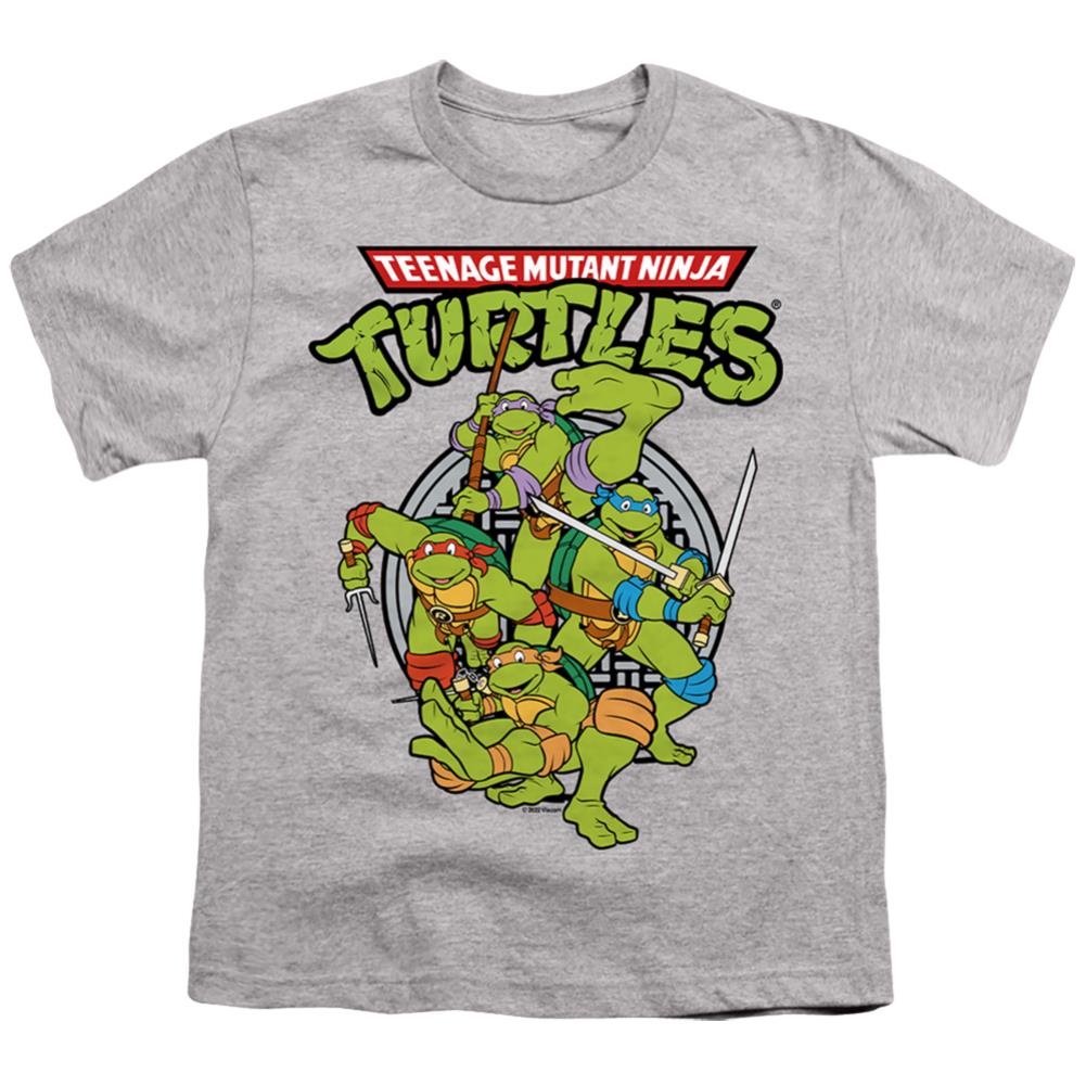 Teenage Mutant Ninja Turtles Tmnt Group Youth 18/1 100% Cotton Short-Sleeve T-Shirt