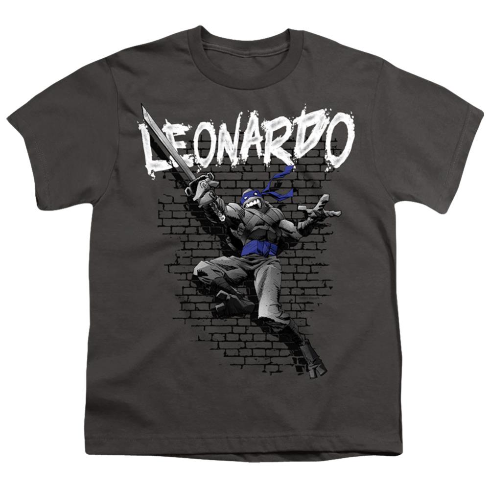 Teenage Mutant Ninja Turtles Tmnt Leonardo Youth 18/1 100% Cotton Short-Sleeve T-Shirt