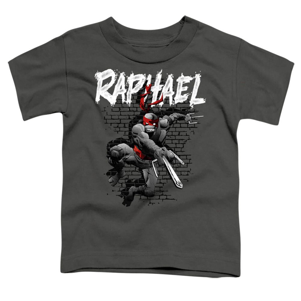 Teenage Mutant Ninja Turtles Tmnt Raphael Toddler 18/1 Cotton Short-Sleeve T-Shirt