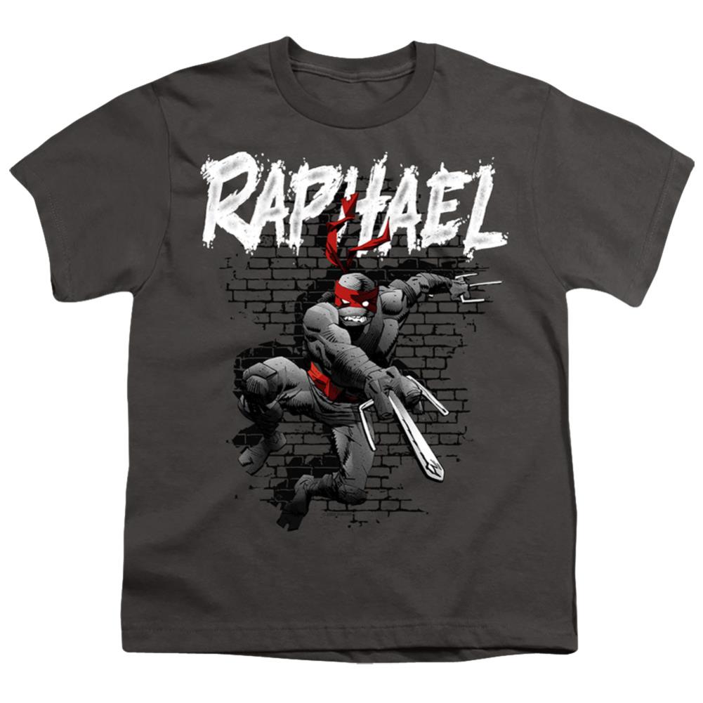 Teenage Mutant Ninja Turtles Tmnt Raphael Youth 18/1 100% Cotton Short-Sleeve T-Shirt