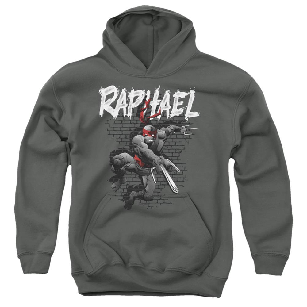 Teenage Mutant Ninja Turtles Tmnt Raphael Youth Cotton Poly Pull-Over Hoodie