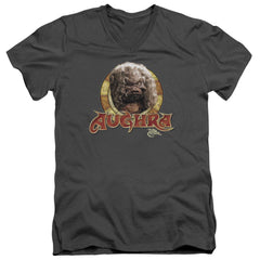 The Dark Crystal Aughra Circle Men's 30/1 Cotton Slim V-Neck T-Shirt