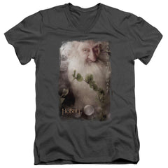 The Hobbit Balin Men's 30/1 Cotton Slim V-Neck T-Shirt