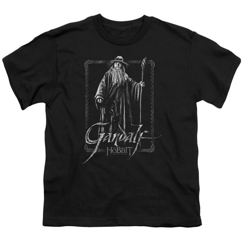 The Hobbit Gandalf Stare Youth 18/1 100% Cotton Short-Sleeve T-Shirt
