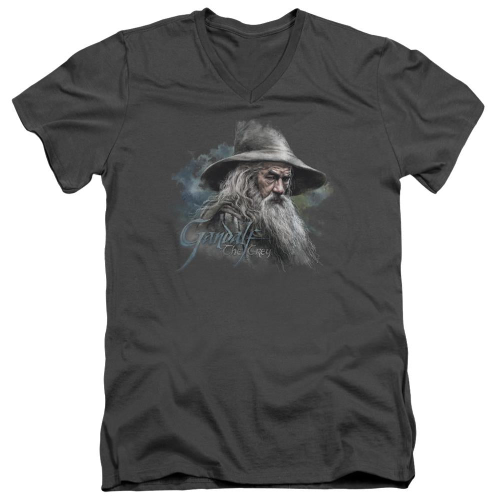 The Hobbit Gandalf The Grey Men's 30/1 Cotton Slim V-Neck T-Shirt