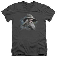 The Hobbit Gandalf The Grey Men's 30/1 Cotton Slim V-Neck T-Shirt