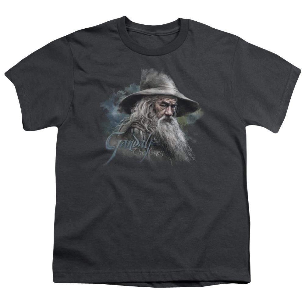 The Hobbit Gandalf The Grey Youth 18/1 100% Cotton Short-Sleeve T-Shirt