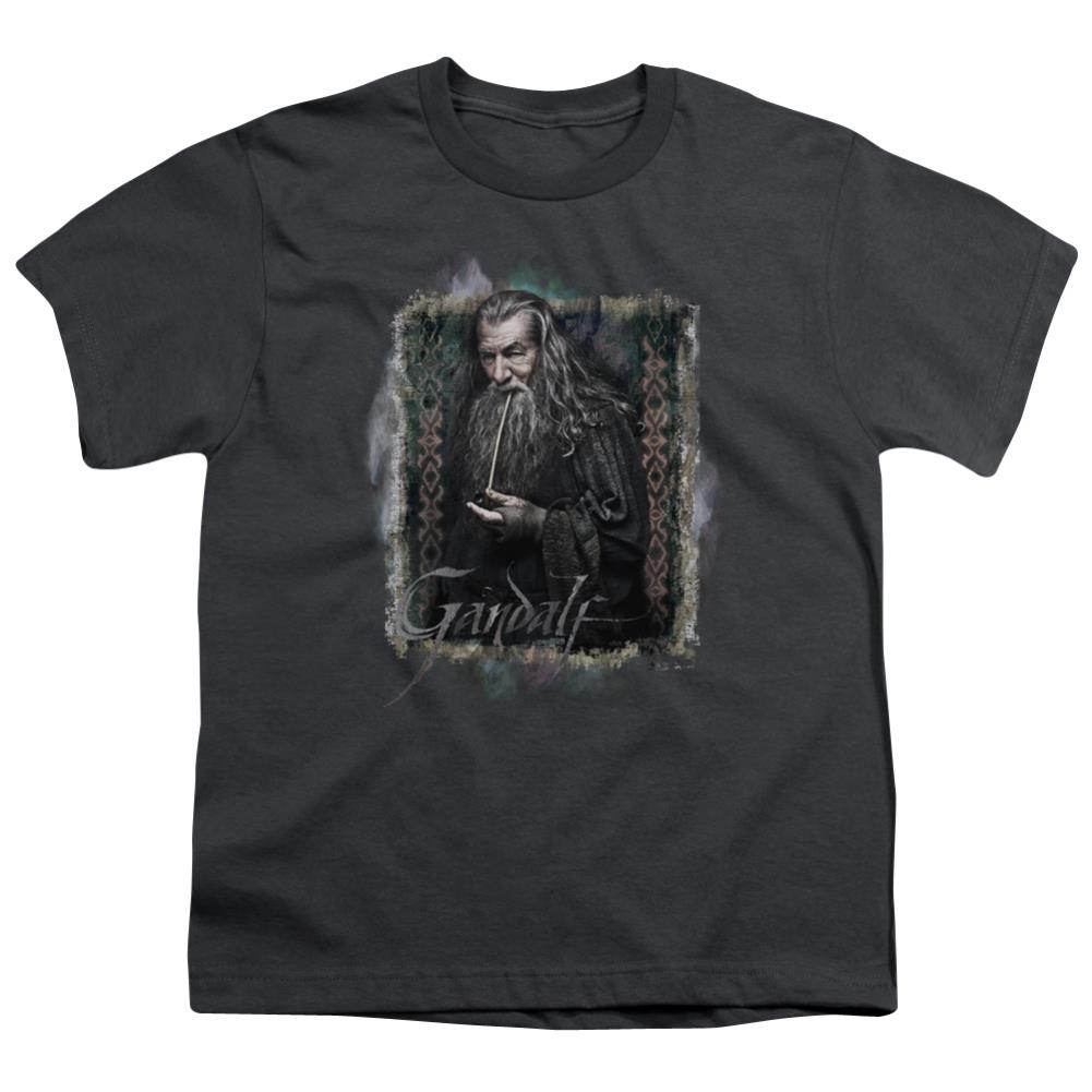 The Hobbit Gandalf Youth 18/1 100% Cotton Short-Sleeve T-Shirt