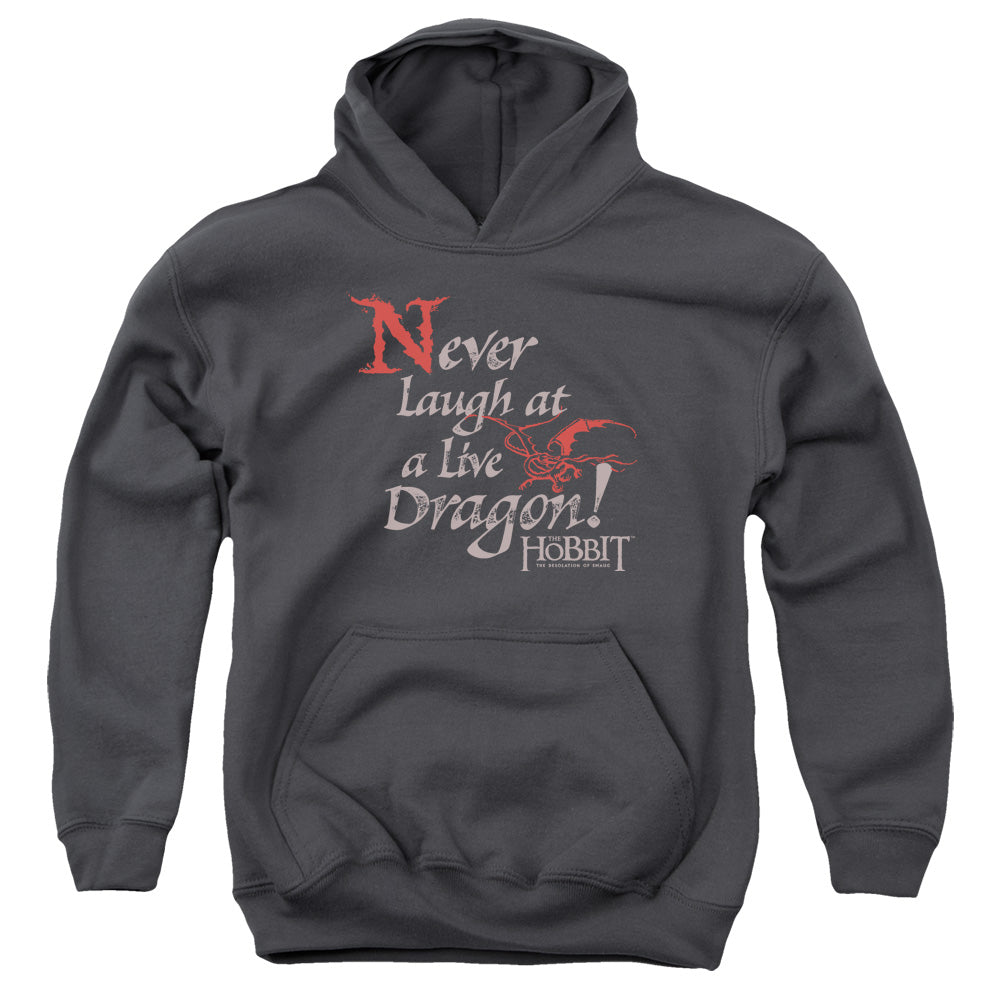 The Hobbit Never Laugh Youth Cotton Poly Pull-Over Hoodie