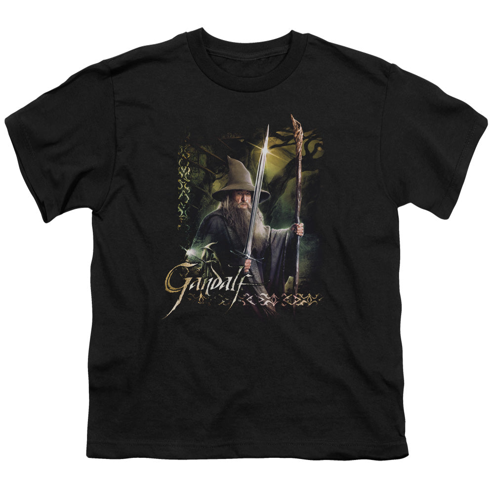 The Hobbit Sword And Staff Youth 18/1 100% Cotton Short-Sleeve T-Shirt