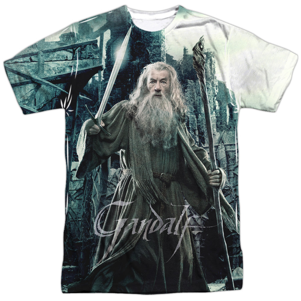 The Hobbit Wizard Men's Regular Fit Polyester Short-Sleeve T-Shirt
