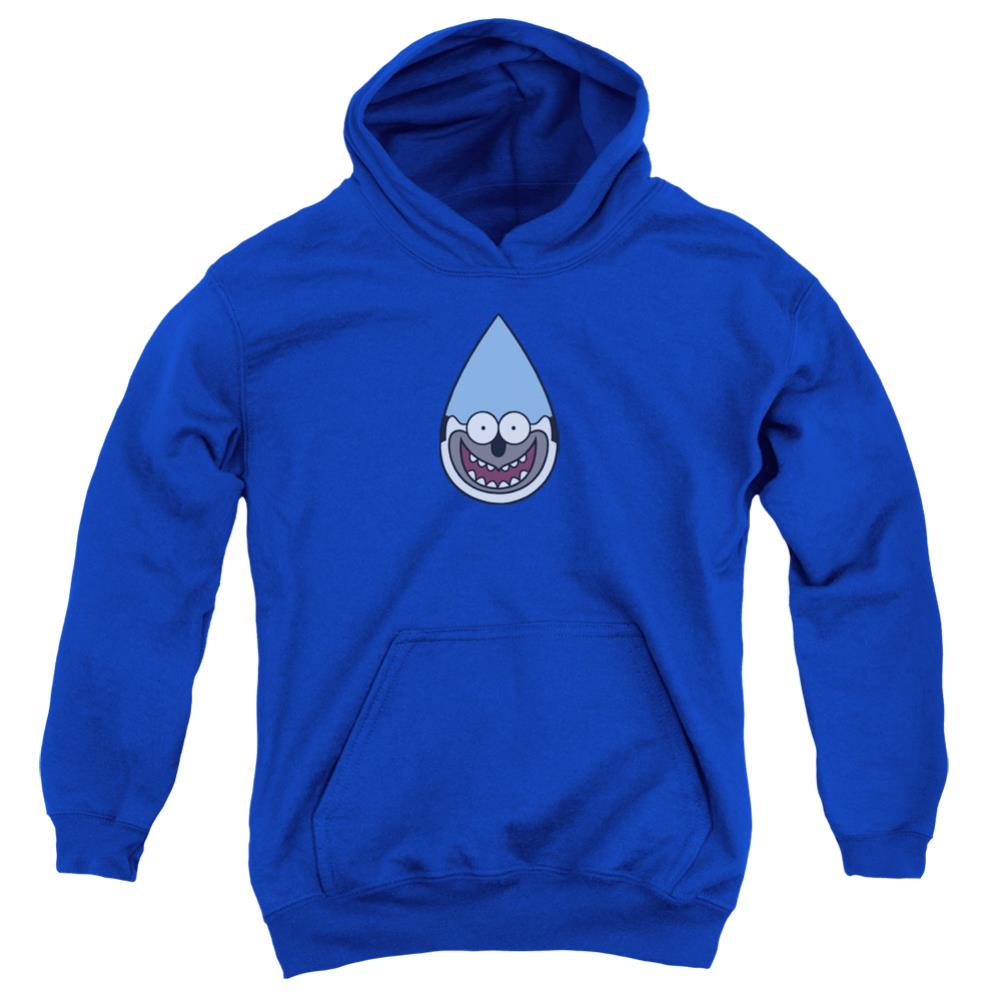 The Regular Show Mordecai Youth Cotton Poly Pull-Over Hoodie
