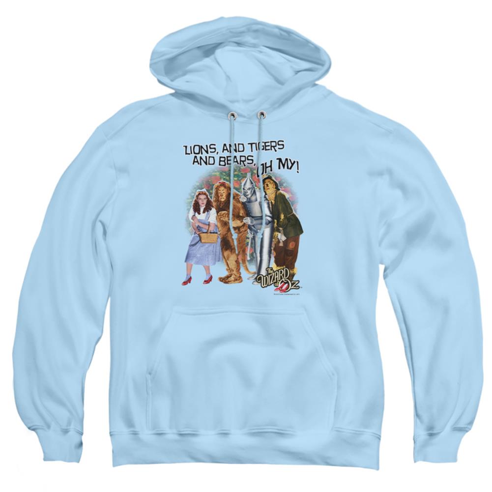 The Wizard Of Oz Oh My Men's Pull-Over 75 25 Poly Hoodie