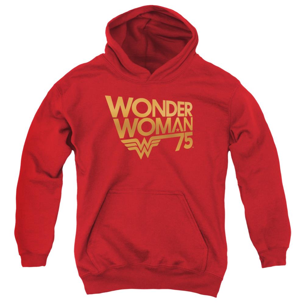 Wonder Woman Wonder Woman 75th Anniversary Gold Logo Youth Cotton Poly Pull-Over Hoodie