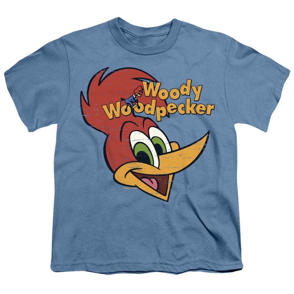 Woody Woodpecker Retro Logo Youth 18/1 100% Cotton Short-Sleeve T-Shirt
