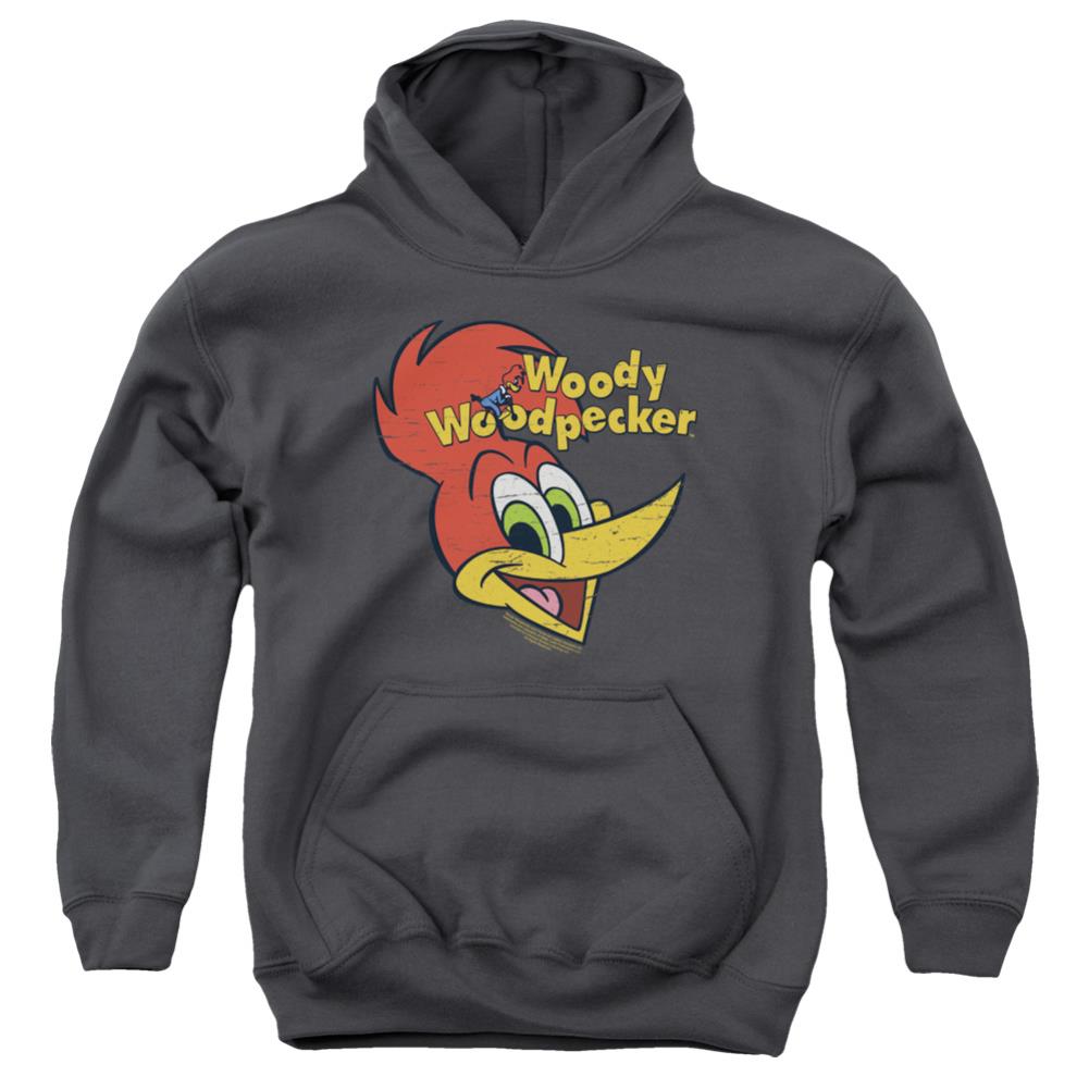 Woody Woodpecker Retro Logo Youth Cotton Poly Pull-Over Hoodie